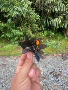 Freestyle House Hostel