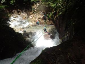 Freestyle House Hostel