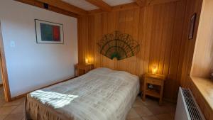 2 chalets écologiques, spa-jacuzzi, montagne Vosges