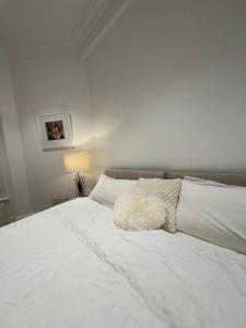 Spacious Bright & Comfortable - South Kensington