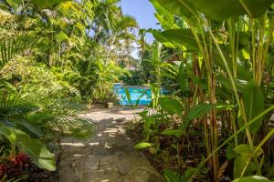 Renaissance Residence Cabarete