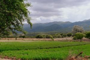 Las Marías - Hostería y restaurante de campo en el paraíso escondido de Catamarca, San Antonio de Paclin