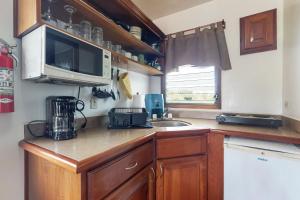 Green Iguana at Latitude Adjustment -Gold Standard Certified