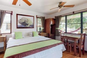 Green Iguana at Latitude Adjustment -Gold Standard Certified