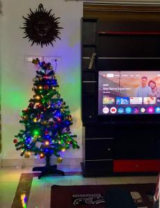 Stay with Palee By Casa Paleo