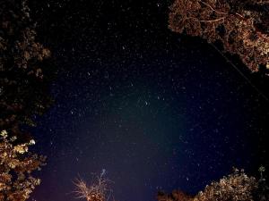 Frolic Field Nasu 源泉温泉の檜風呂 一棟貸切 BBQ ドッグラン 大型犬OK 9名 星空テラス