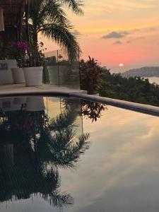 Villa 2 Mariposa Monarca