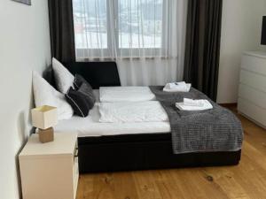 Apartment near the KitzSki area