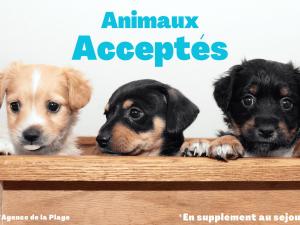 Appartement 1 chambre à Saint-Jean-de-Monts pour 4 personnes proche plage - FR-1-323-266