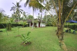Dalmanuta Gardens