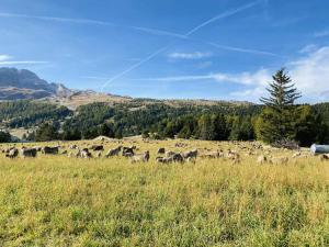 Appartement super Devoluy