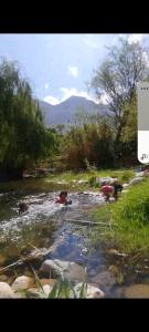 La cabaña del rio Rivadavia