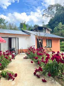 Little Stream House Sapa