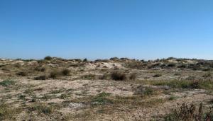 Casa Playa Les Bassetes