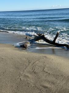 Studio design front de mer classé 3 étoiles