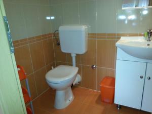 Studio Apartman Kamelija