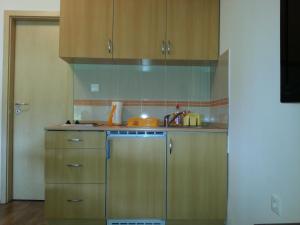 Studio Apartman Kamelija