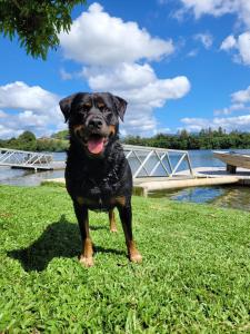 Tweed River Waterfront Cottage
