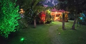 ACACIAS Cottages with Starlink Wifi
