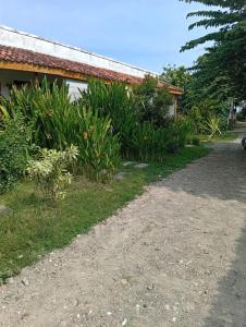 Narima Torok Homestay