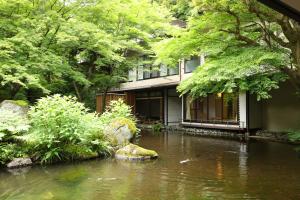 Oku Yugawara Tsubaki