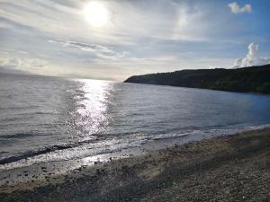 Js PALM BEACH Resort