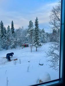 Mysigt hus på hästgård, strax utanför Kiruna