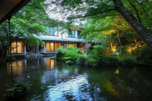 Oku Yugawara Tsubaki