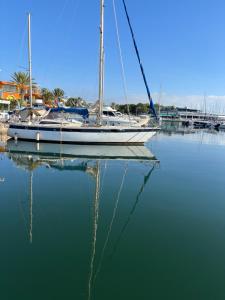 F3 et Piscine Port Yasmine Hammamet