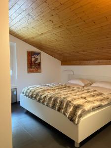 Haus Anis Edel Alpine Apartment