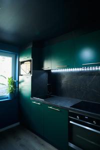 Logement unique a Saint-Omer Cinéma & thèmes