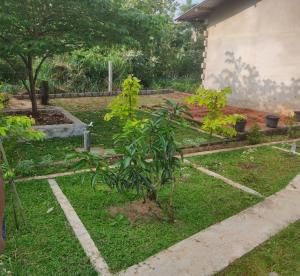 Shyami Villa