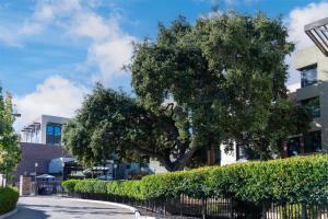 Homewood Suites by Hilton Palo Alto