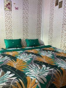 Explore Jungle Trek Guesthouse & Transport