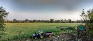 Camping at Khajuraho Permaculture Farm