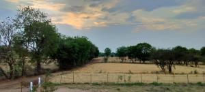 Khajuraho Permaculture Farm