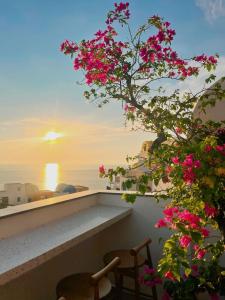 Pito Hotel - Hòn Thơm Phú Quốc