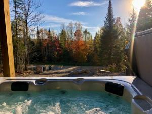 Delarose Cottage, Ski, Spa, pool table & starry night
