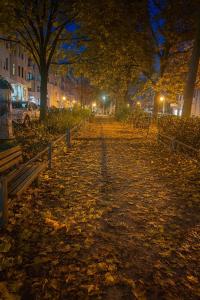 Charming Flat in Creative East Berlin