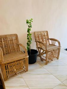 ADRAR INSHAL Siwa - أدرار انشال سيوه