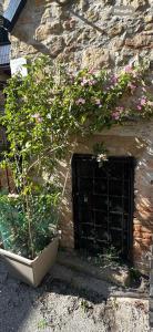 Castello di Francocci Spoleto