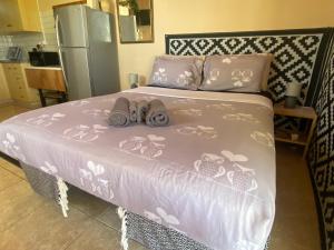 Olive Grove Cottage Guest house