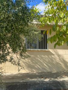 Olive Grove Cottage Guest house