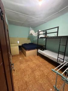 Backpackers Jungle Trekking & Guest House
