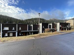 Studio rénové au Lioran avec animaux acceptés - FR-1-787-22