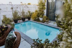 Between the Ocean and Winelands