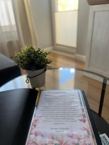 EUROPA22 Apartament z JACUZZI w samym sercu miasta - balkon z widokiem na park i fontanny - Szybkie i Łatwe Zameldowanie NETFLIX