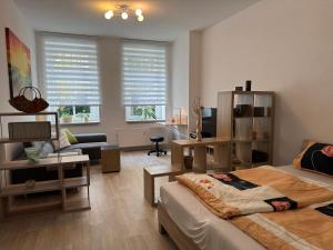 Appartement Chemnitz-Kaßberg