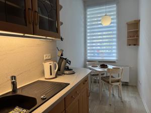 Appartement Chemnitz-Kaßberg