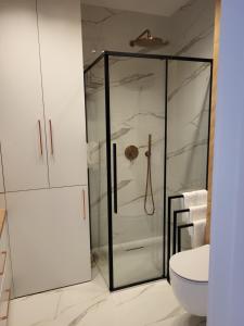 Apartament Jagiełly